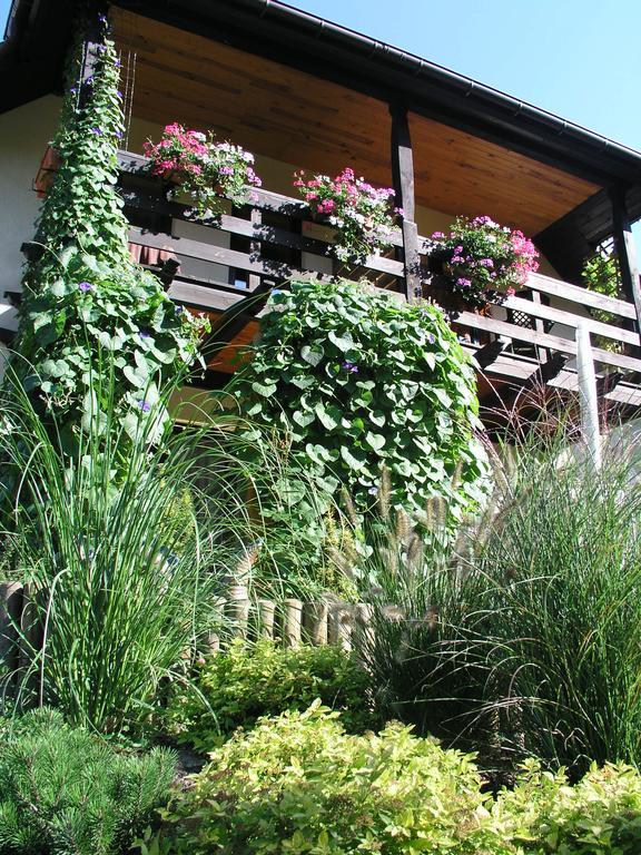 Dom Pod Kasztanami Apartment Kazimierz Dolny Ngoại thất bức ảnh